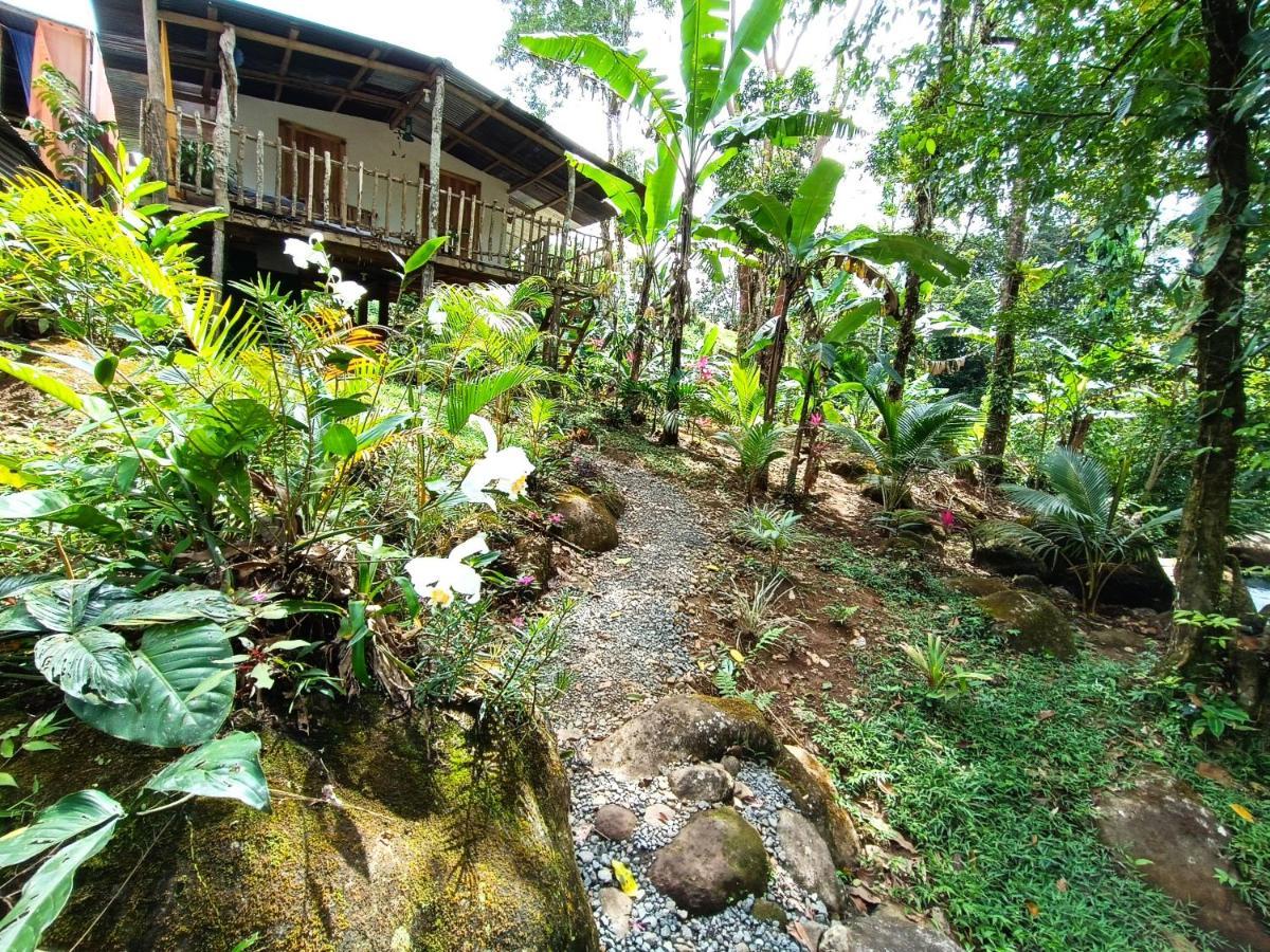 Cabana Vista Rio Celeste Exterior foto